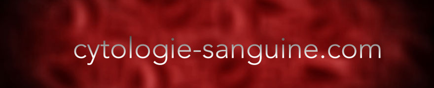 bandeau cytologie sanguine